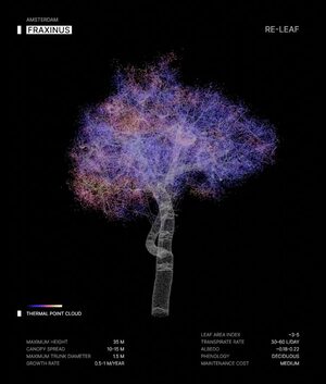 Urban tree canopy visualization